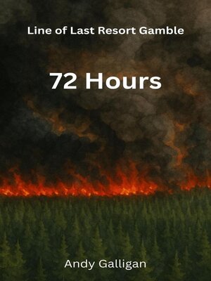 cover image of 72 Hours